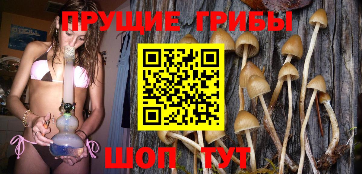 Галлюциногенные грибы GOLDEN TEACHER Лосино-Петровский