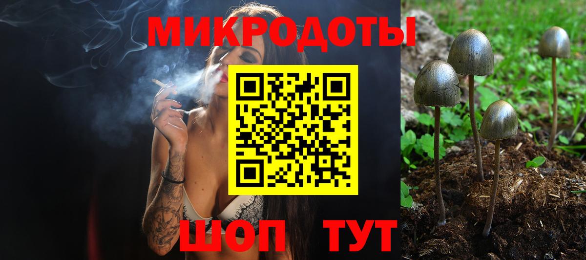 Псилоцибиновые грибы MAGIC MUSHROOMS  Вход с VPN  Лосино-Петровский 